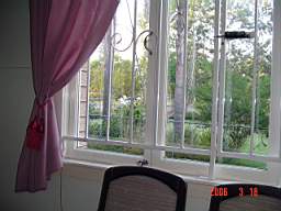 1_View of a car crash from my study room.jpg
